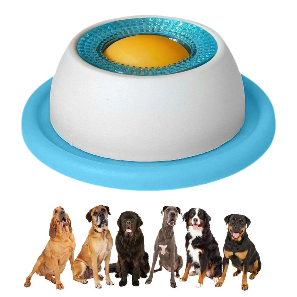 Dog Treat Puzzle & Slow Feeder Toy