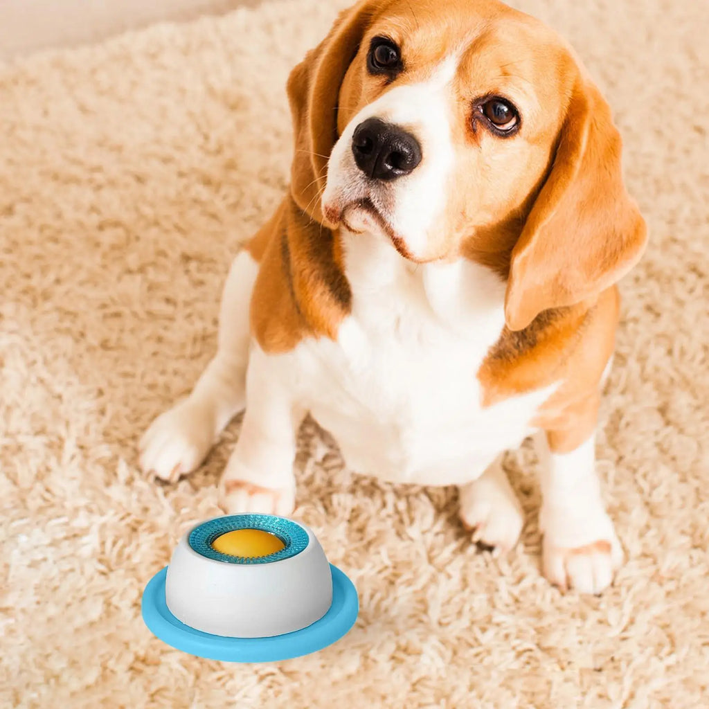 Dog Treat Puzzle & Slow Feeder Toy