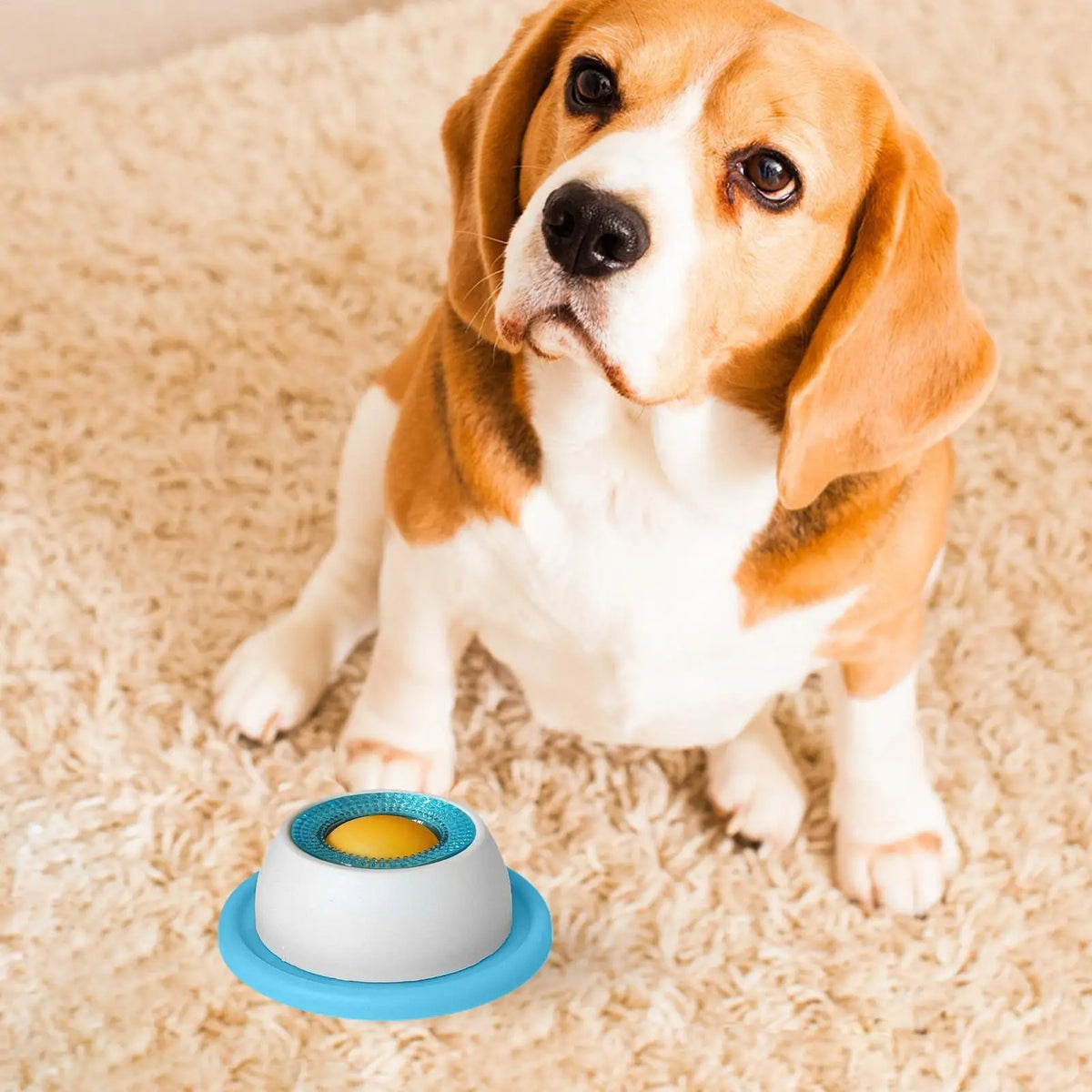 Dog Treat Puzzle & Slow Feeder Toy