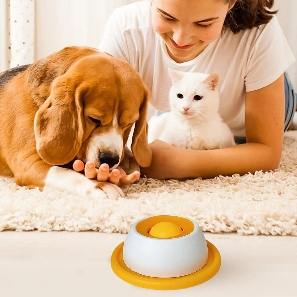 Dog Treat Puzzle & Slow Feeder Toy