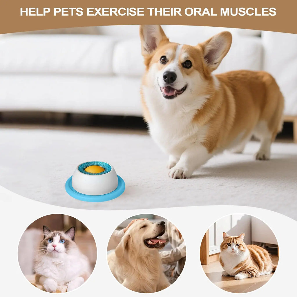 Dog Treat Puzzle & Slow Feeder Toy